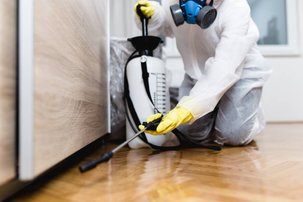 Best Flea Control Services  in Antioch, CA