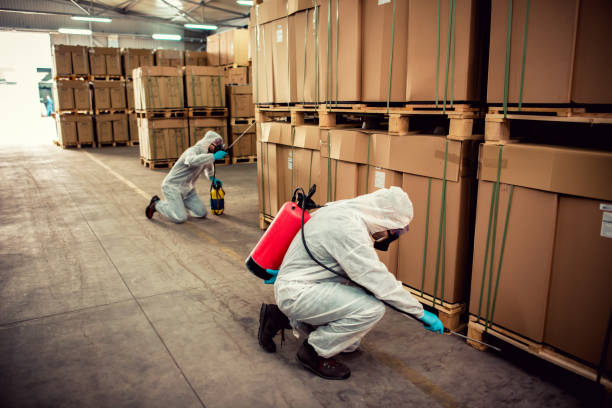 Best Mosquito Control Services  in Antioch, CA