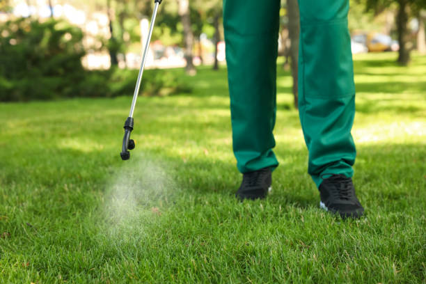 Best Pest Removal Services  in Antioch, CA